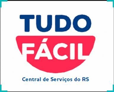 Detran de Porto Alegre / Tudo Fácil RS